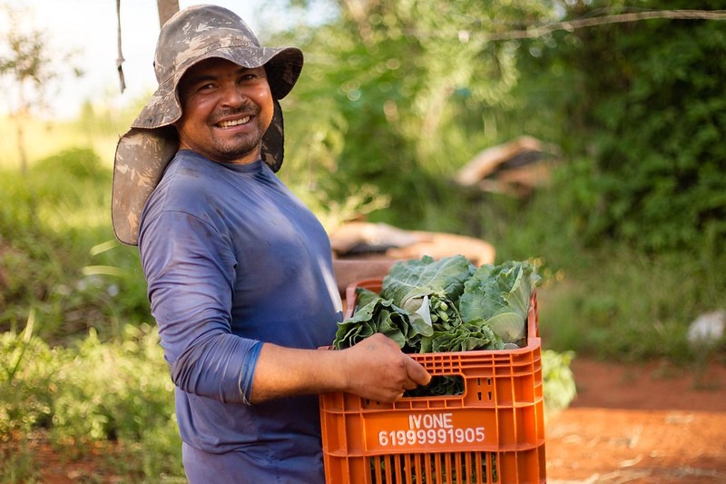 Brasil que Alimenta: A Esperança que Brota do Nordeste